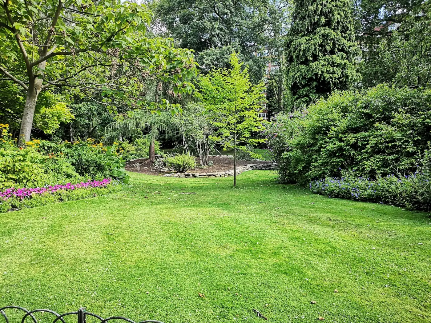 The same backyard with a dense green lawn and healthy shrub borders