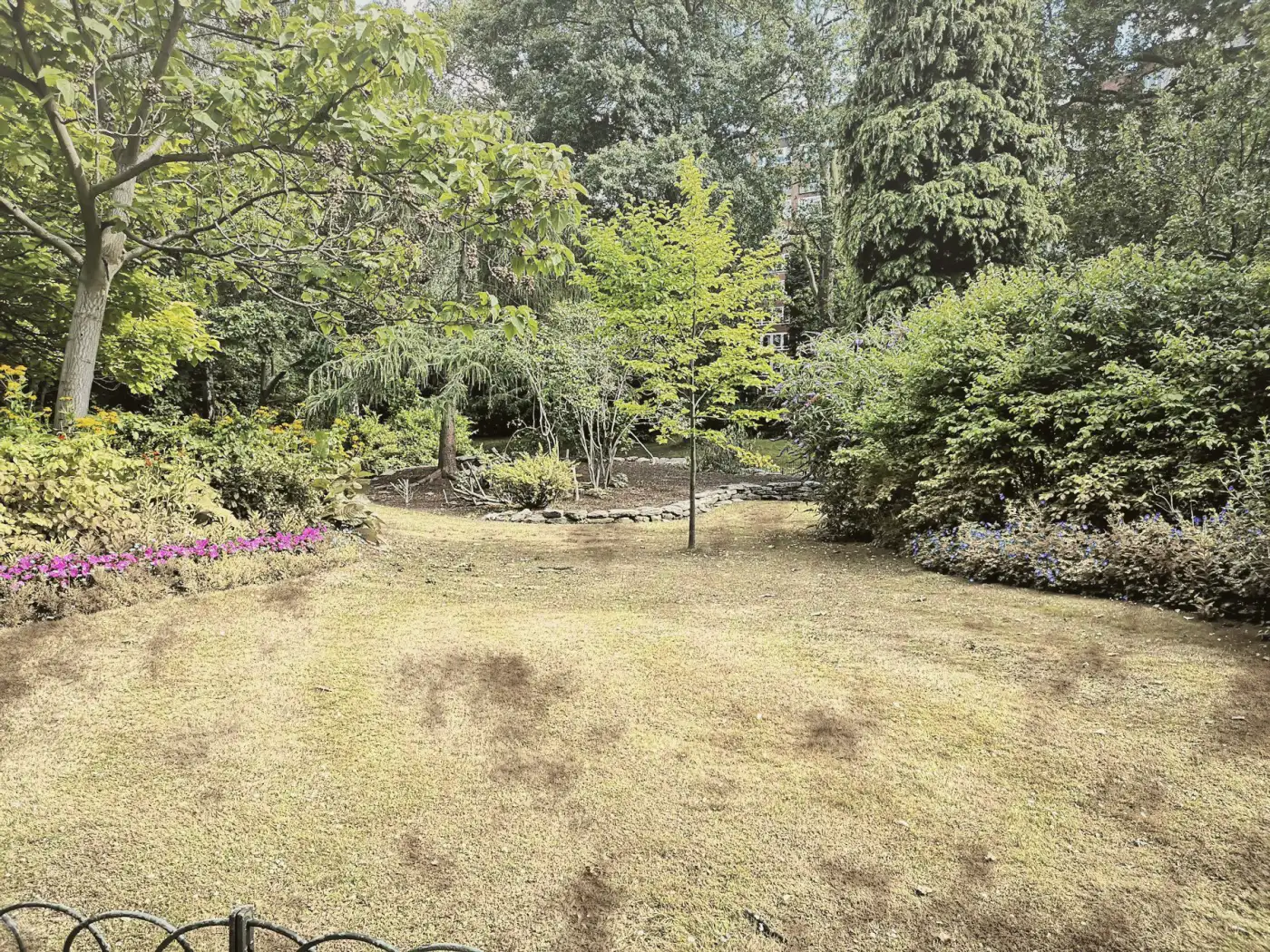 Backyard lawn with dry, patchy grass and bare soil