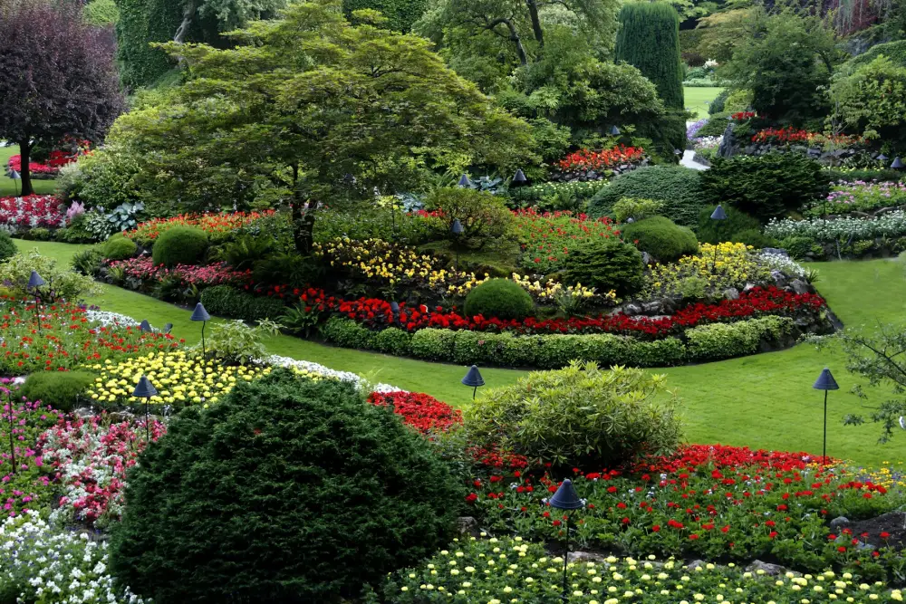 Formal garden with curved lawn, clipped shrubs and flower beds