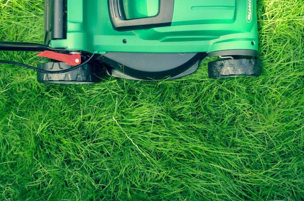 Close-up of a green lawn mower on freshly cut grass