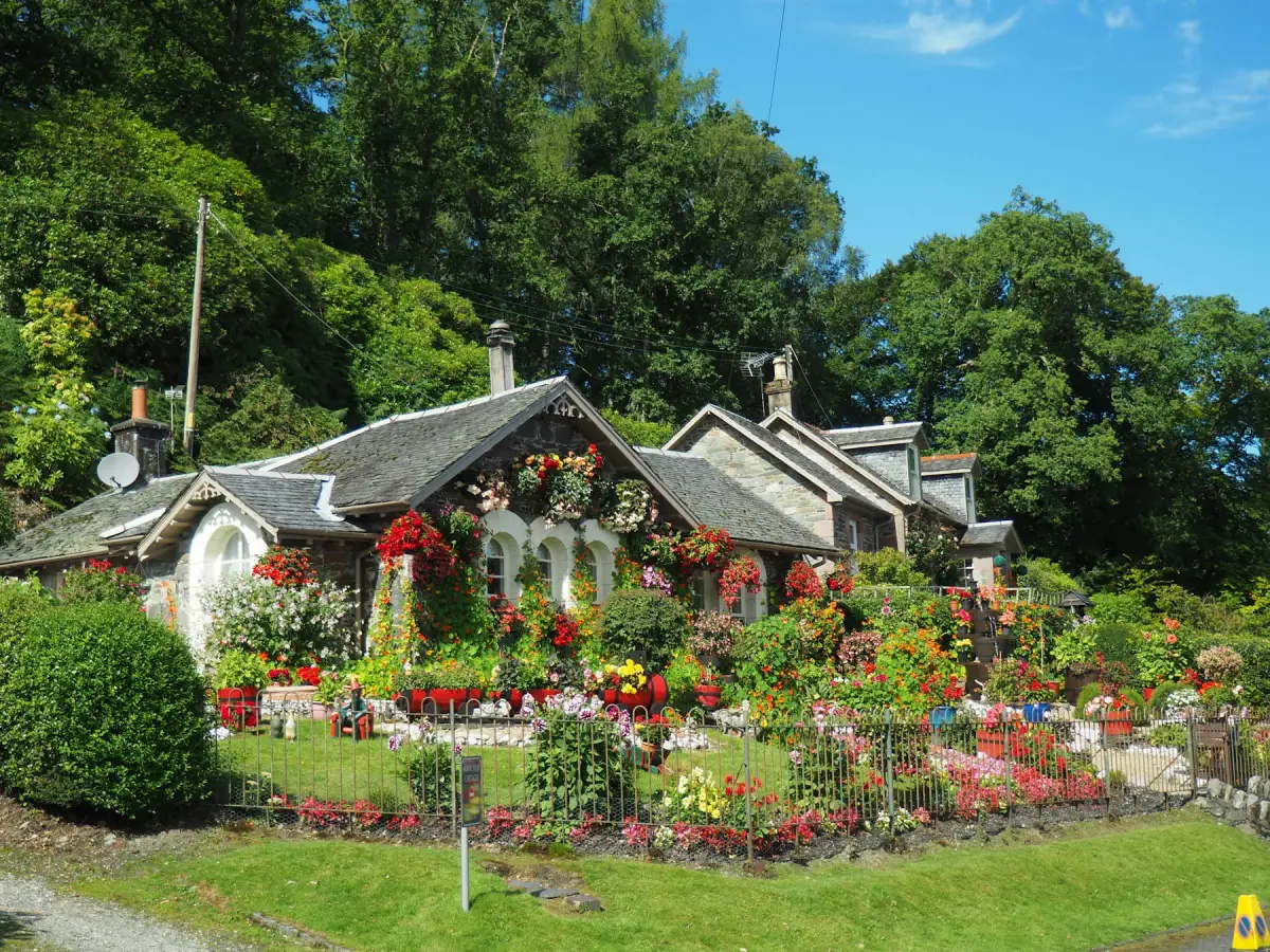 Cottage with a front garden full of red and pink flowers and clipped shrubs